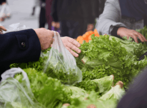 Scaremongering or legitimate safety concerns? The political dogfight over America’s food safety system