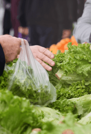 Scaremongering or legitimate safety concerns? The political dogfight over America’s food safety system