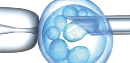  Viewpoint: Selective pronatalism: The radical “ethical” case challenging parents’ right to end a pregnancy when a fetus has a severe genetic disorder