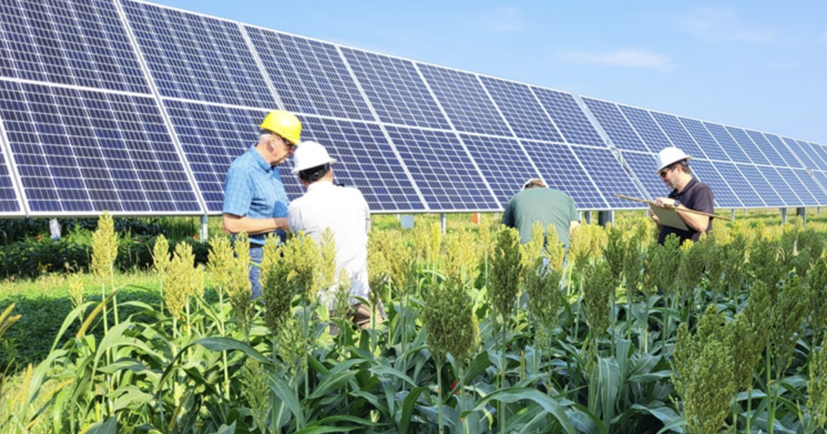 Viewpoint: Latest attack on renewable energy and farmers, new USDA rules could put solar grants out of reach for small producers