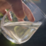 PFAS in Agriculture: Science, Uncertainty, and Risk Communication