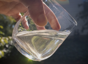 PFAS in Agriculture: Science, Uncertainty, and Risk Communication