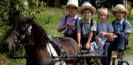 Vaccines, religious freedom, and protecting children’s health: New York Amish appeal to Supreme Court after $118,000 in vaccine fines for blocking shots