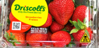 Viewpoint: Activists hype ‘dangerous level’ of pesticide residues in Driscoll berries: Separating health concerns from fear-mongering