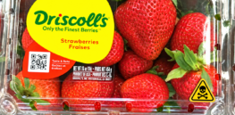 Viewpoint: Activists hype ‘dangerous level’ of pesticide residues in Driscoll berries: Separating health concerns from fear-mongering