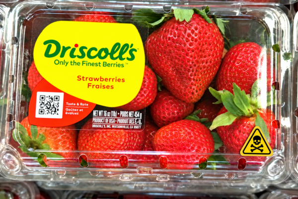 Viewpoint: Activists hype ‘dangerous level’ of pesticide residues in Driscoll berries: Separating health concerns from fear-mongering