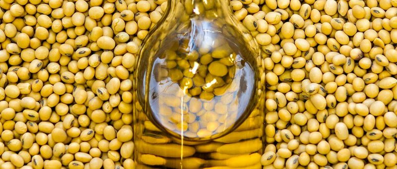 Gene-edited soybeans are used to make healthier soybean oil.