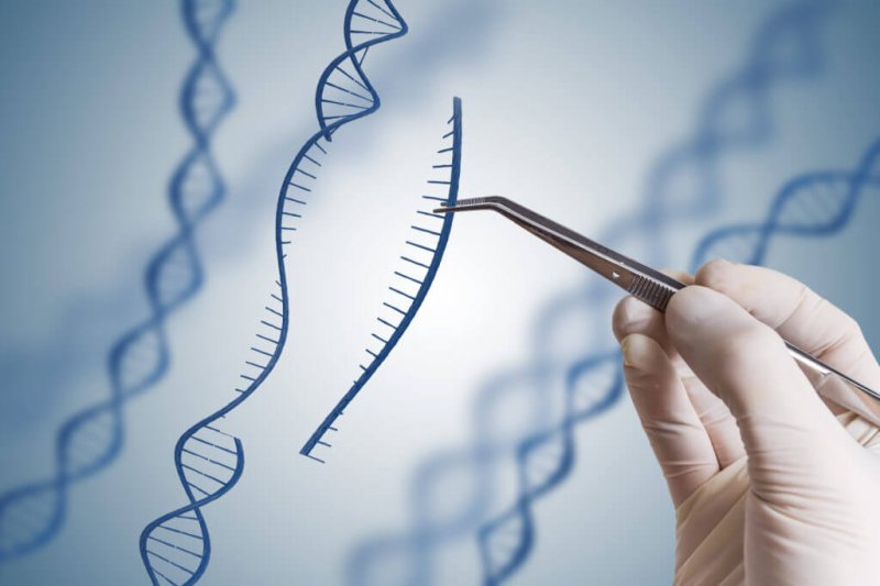 genetic engineering on humans x