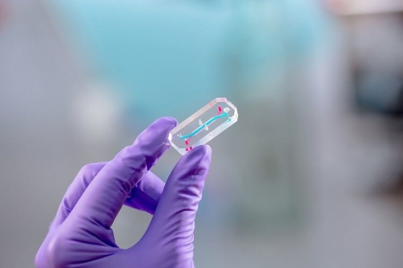 Roche teams with Emulate for organ on chip testing tech wrbm large
