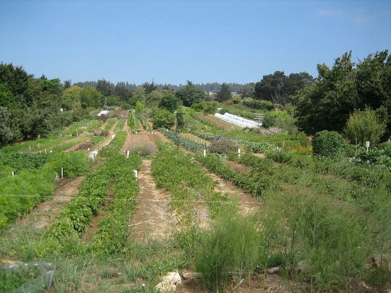 px UCSC farm