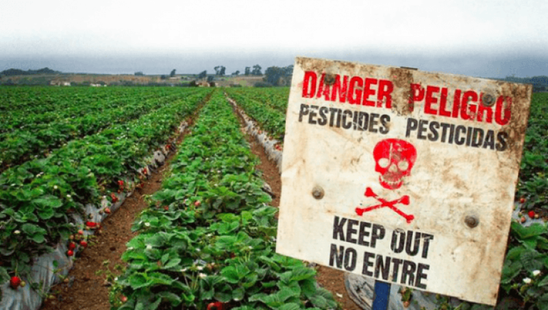 Credit: Beyond Pesticides