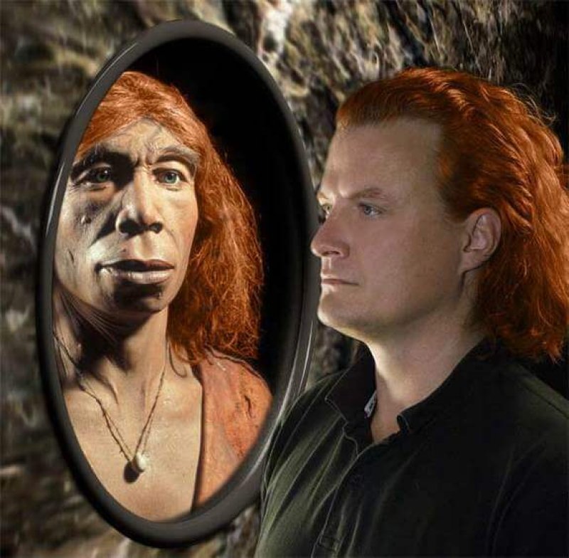 tch neanderthals