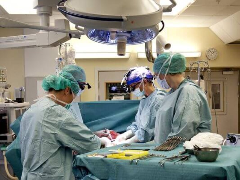AP Sweden Womb Transplant