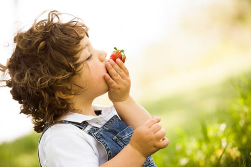 KIDS EatOrganicFruit CROP original original