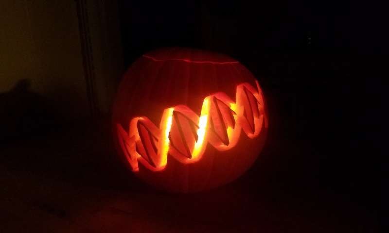 pumpkingenom