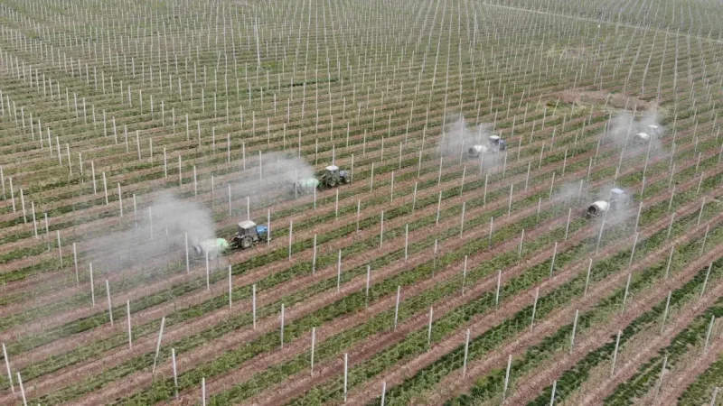 220125221350-china-farming-restricted.jpg