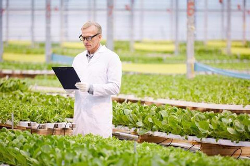 332016_gmoprecisionbreedingcropsgreenhousesciencefarmingfarm_942744