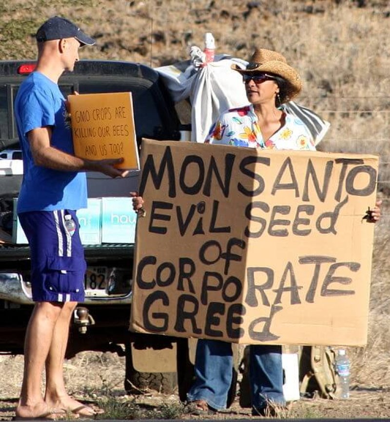 px Occupy Wall Street Maui at Monsanto