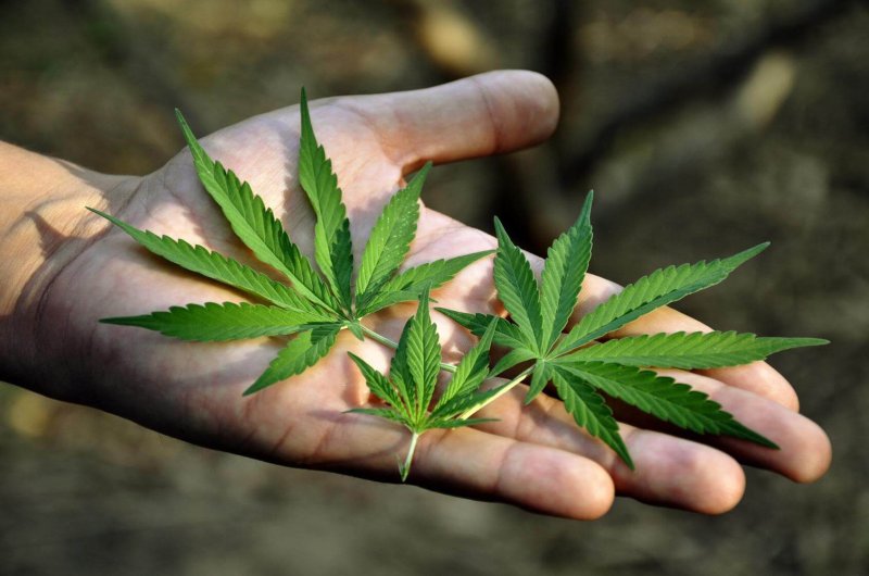marijuana pot in hand