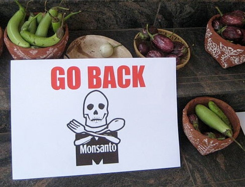 px BT Brinjal Protest Bangalore India Go Home Monsanto