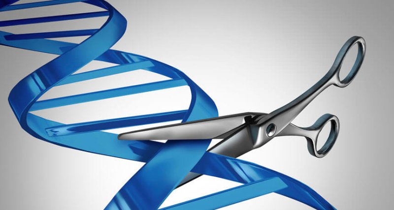 header gene cutting iStock Large