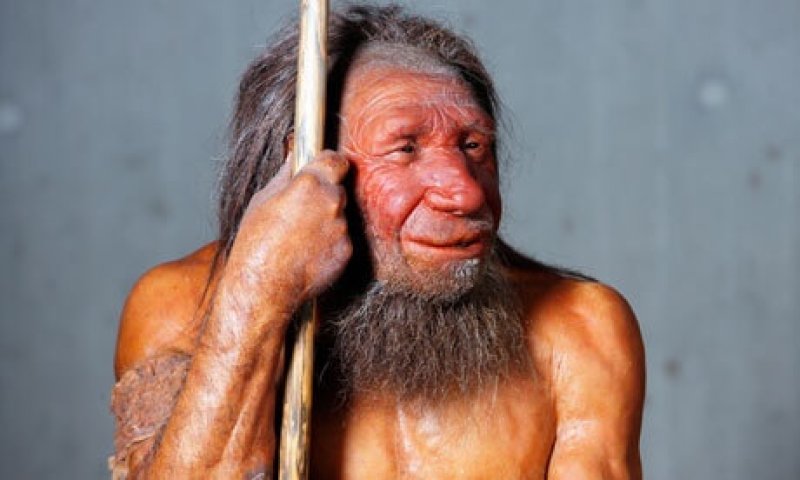 A model of a Neanderthal