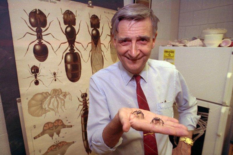 Edward O. Wilson. Credit: AP