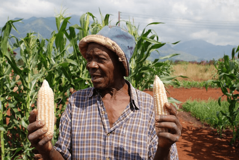 african farmer pe xl sux ivf qpgir o mipjk buolepwapghd