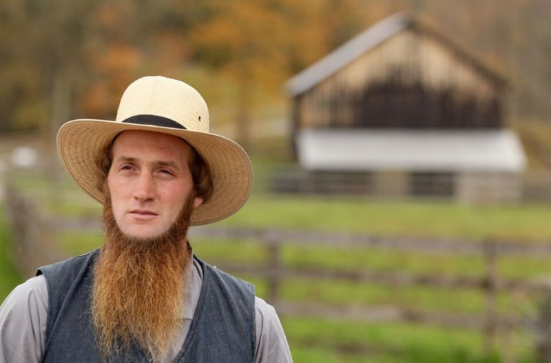 Amish Facts Dont Go For The Trim