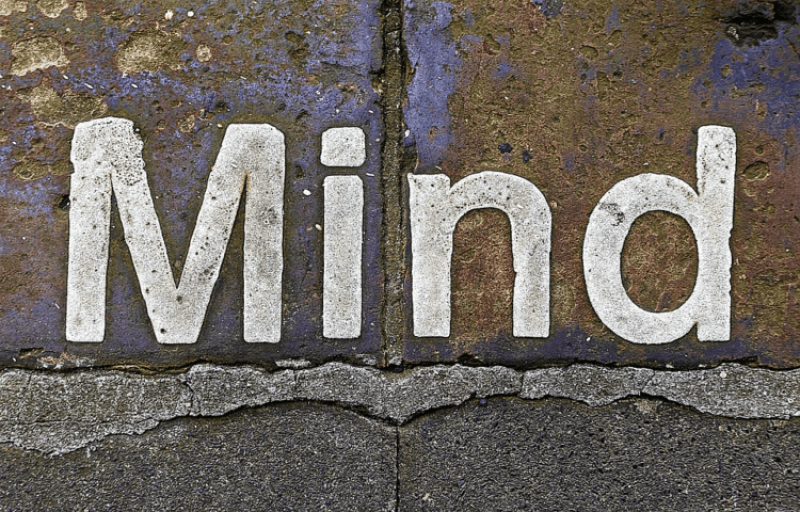 Video: Why and how consciousness evolved?