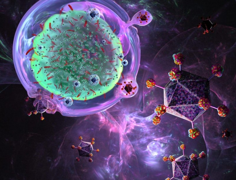 Illustration of CAR (chimeric antigen receptor) T cell immunotherapy. Credit: Keith Chambers/Science Photo Library