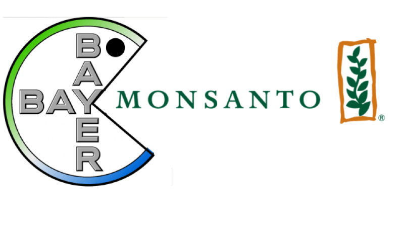 Bayer Monsanto fusion