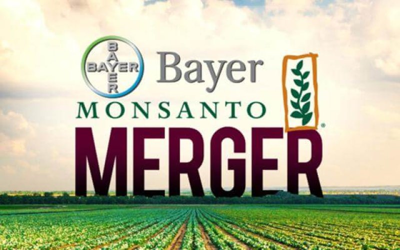 Bayer MonsantoMerger