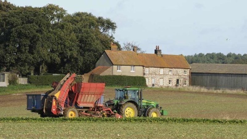 Beet harvester working in front of farm cottages x