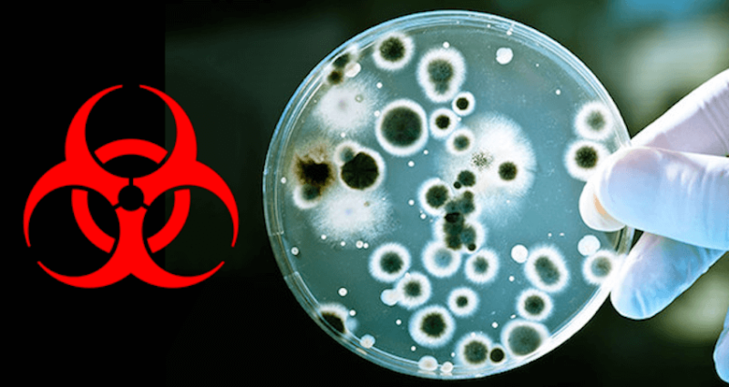 Biohazard Bacteria