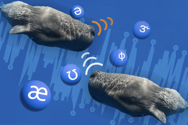 CETI-MIT News