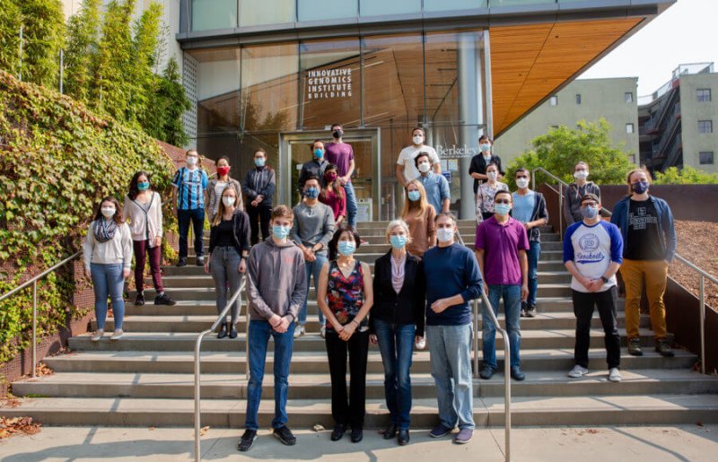 Young scientists at the Doudna Lab at UC Berkeley. Credit: Doudna Lab