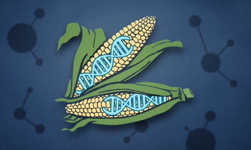 CRISPR superplants e x