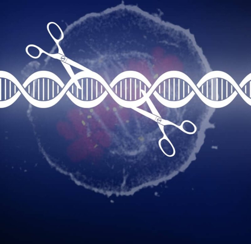 CRISPR Cancer HeroArt