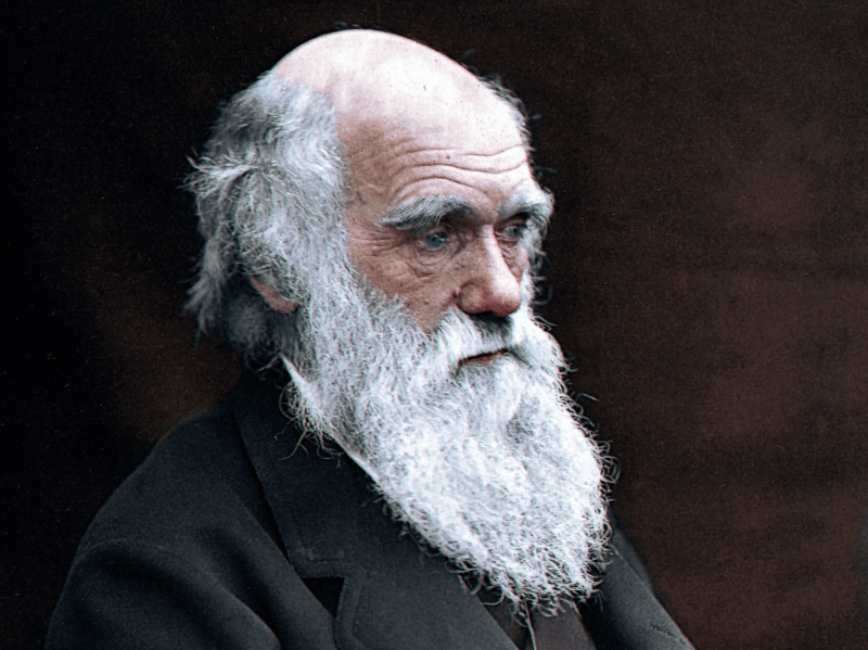 charles darwin c english naturlist c colored