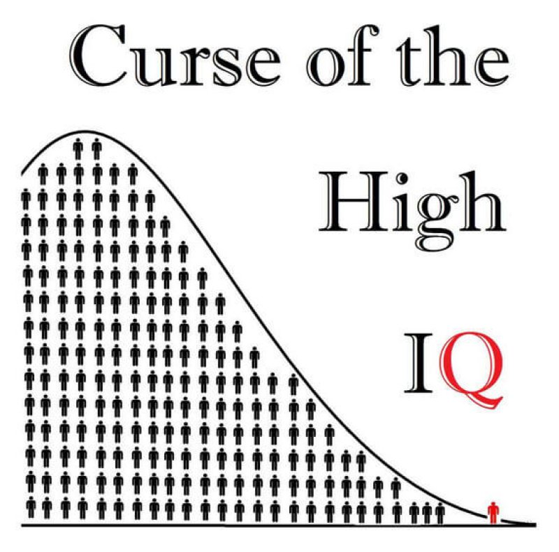 Curse of the High IQ Cover e