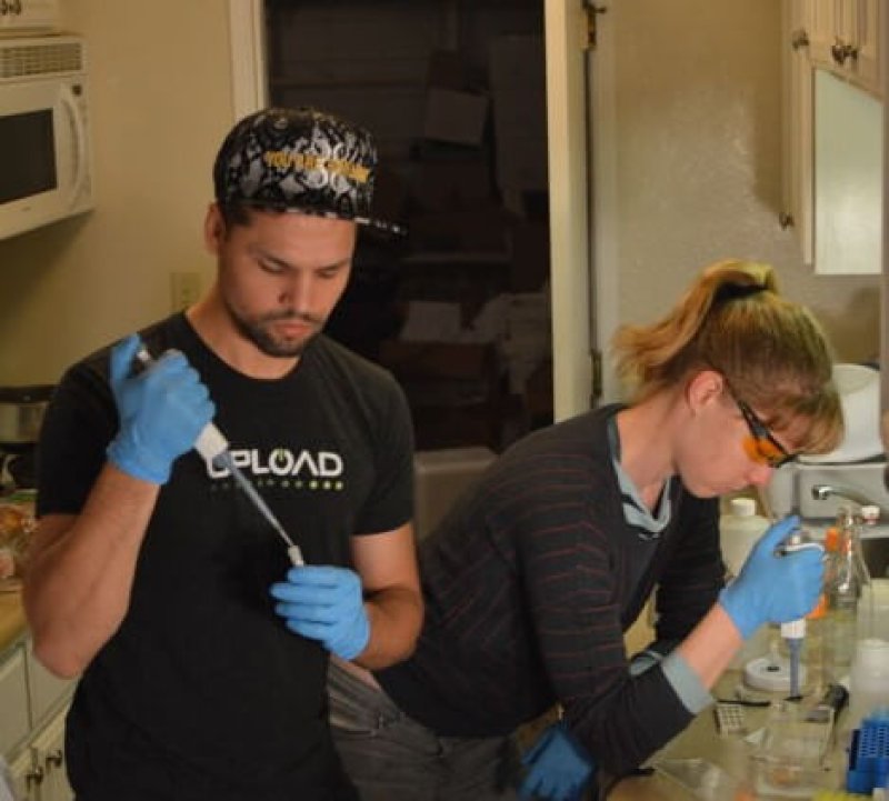 DIY gene engineering