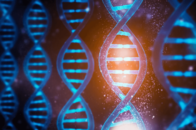DNA-Functions-Concept-1536x1024
