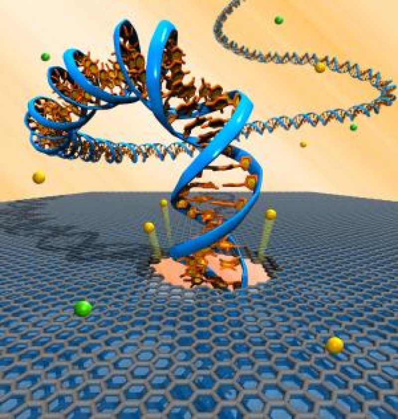 DNA sequencing using graphene nanopores