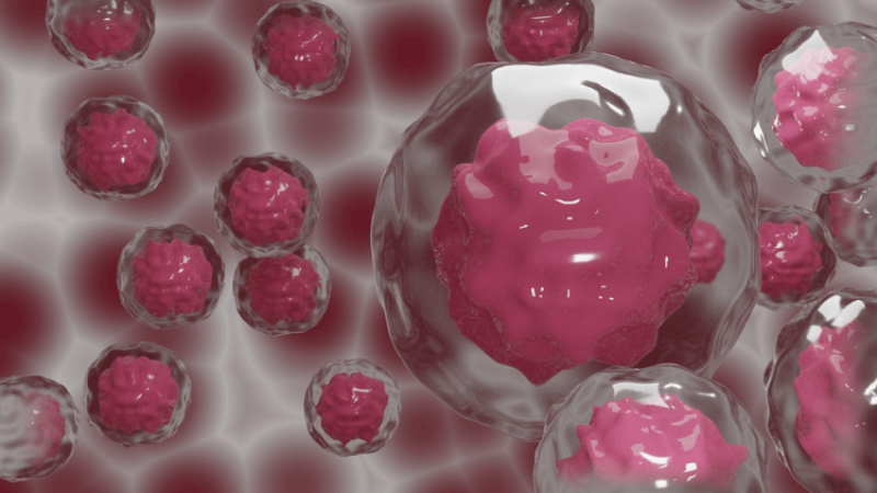 Undoing childhood cancer? Flipping a genetic switch can turn tumor cells back into normal tissue