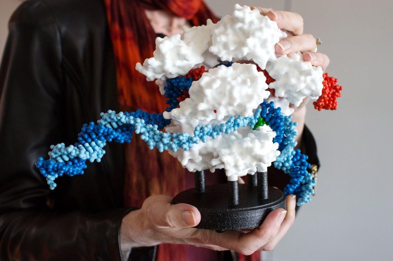 Jennifer Doudna holding a model beginning to edit a stretch of blue DNA. The orange RNA binds to the defined DNA target; the white Cas9 enzyme cuts the DNA. Credit: Jana Ašenbrennerová