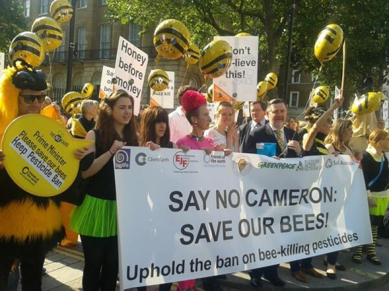 Downing St Bee Protest Jul c FoE
