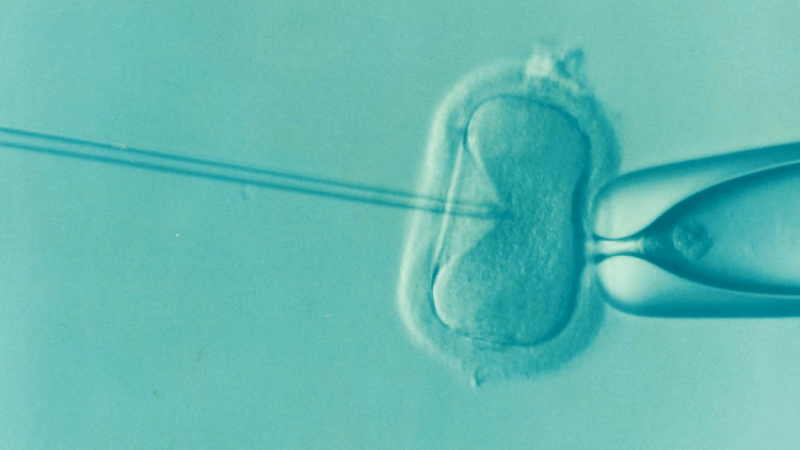 UK baby born from three “parents” stirs hope and concerns