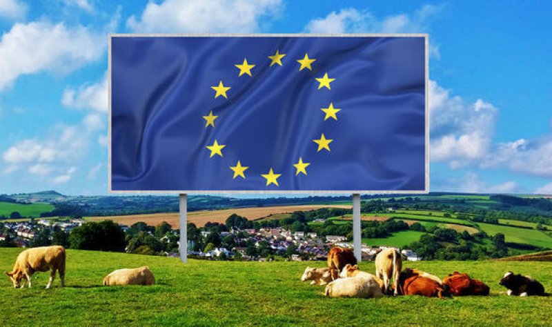 EU flag billboard field cows farm