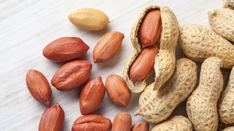 Eating Nuts Adds up to Longer Life x